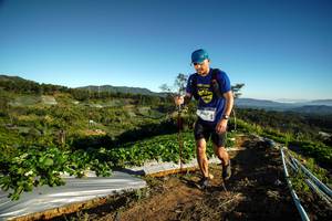 BIB: 067
                            <button type="button" onclick="openModal(19113567)" class="btn btn-primary btn-sm float-right btn-popup" data-toggle="modal" data-target=".modal-high-quality">
                        <i class="fas fa-shopping-cart"></i> Add to Cart
                    </button>
                                            <button type="button" onclick="isThisMe(19113567, true)" class="btn btn-success btn-sm float-right btn-popup btn-isme hidden" data-toggle="tooltip" data-placement="bottom" title="นี่คือรูปของคุณใช่ไหม คลิกที่นี่เพื่อเอาเข้าอัลบั้ม">
                        <i class="fas fa-plus"></i> Add to album
                    </button>
                    <button type="button" onclick="isThisMe(19113567, false)" class="btn btn-warning btn-sm float-right btn-popup btn-isnotme hidden">
                        <i class="fas fa-ban"></i> Remove from album
                    </button>